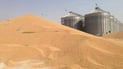 Iraq anticipates wheat harvests of more than seven million tons this year