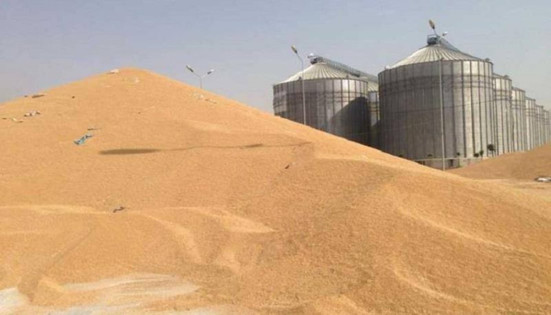 Iraq anticipates wheat harvests of more than seven million tons this year