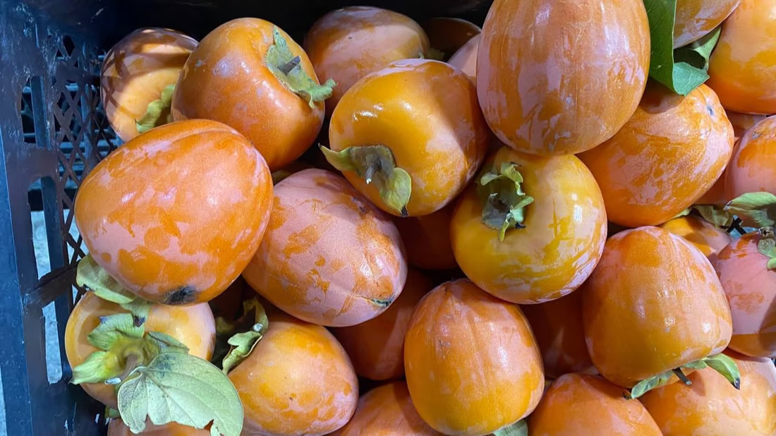 Persimmon farmers in Duhok struggle to market their produce despite growing local popularity