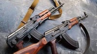 Interior ministry allocates funds for weapon buyback program
