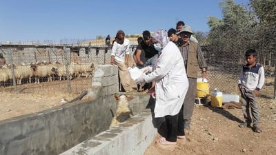 Two farmers in Kirkuk diagnosed with hemorrhagic fever