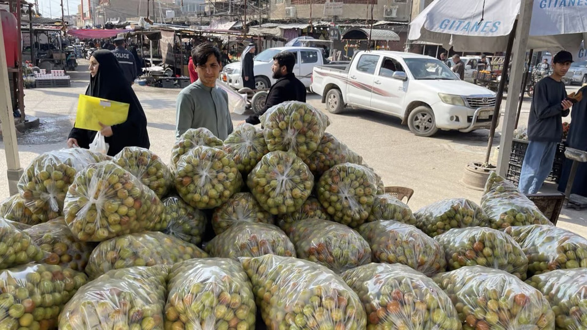 Basras nabq fruit draws traders as production booms and exports increase