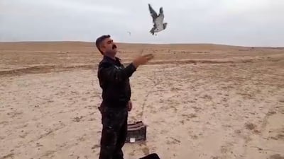 فيديو من السليمانية: مدير الشرطة يطلق طيوراً نادرة بعد اعتقال صياد شاب