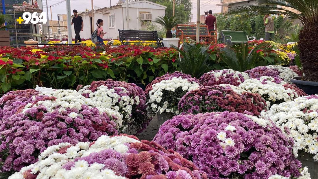 [PHOTOS] Nasiriyah flower exhibition encourages locals to pick up gardening