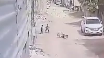 فيديو: إنقاذ طفل من فك كلب سائب في الكوفة.. الحادثة الثالثة خلال أسبوع