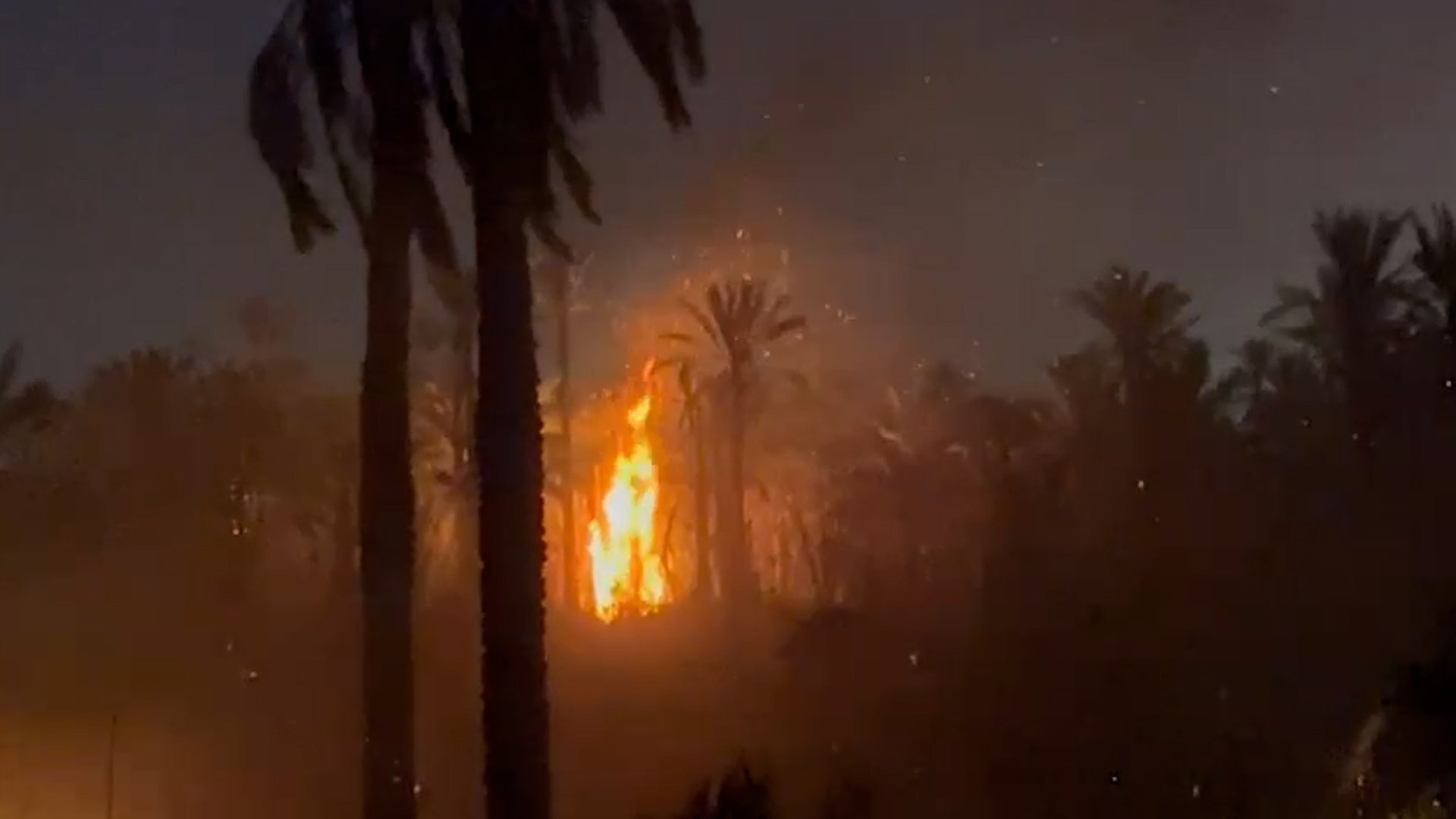 فيديو: النيران تشتعل في 100 نخلة شمالي البصرة و5 فرق إطفاء تهرع للبساتين