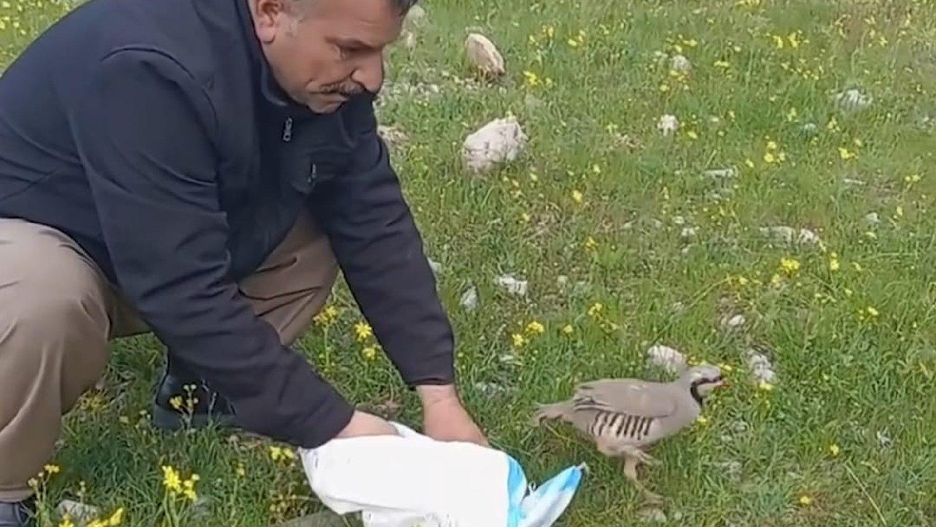 Halabja village resident chooses to release captured chukars into the wild