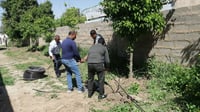 الشجرة تربح 25 ألف دينار.. معلمون يزرعون ”النارنج“ في ح...