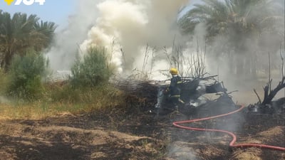 Neighbor’s trash fire scorches palm grove and orchard