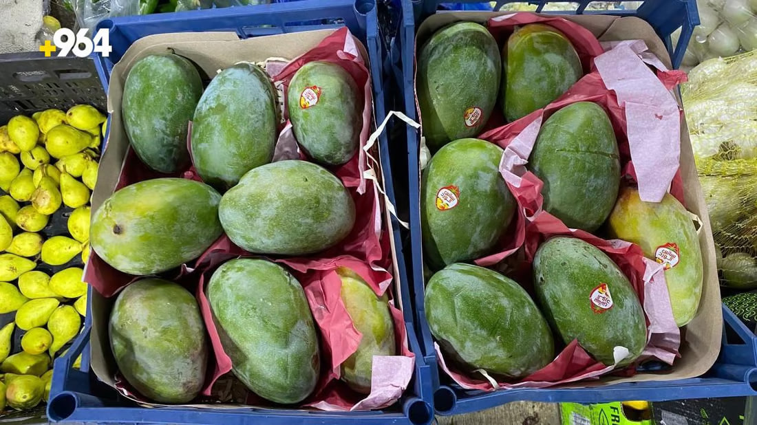 First shipment of mangoes from Lebanon arrives in Nasiriyah’s markets