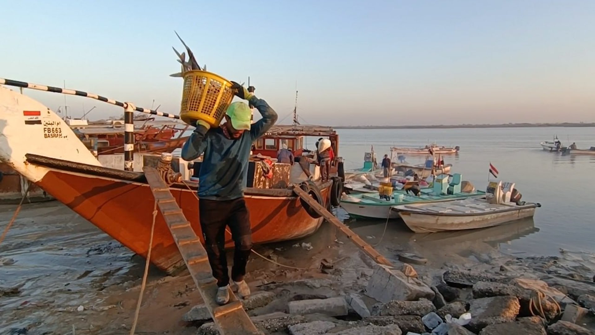 صيد وفير في مرسى النقعة.. أسماك الفاو تصل إلى جميع مدن العراق (فيديو)