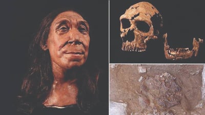 Neanderthal woman’s skull expected to return to the Kurdistan Region