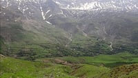 Qandil municipality tightens control on illegal logging