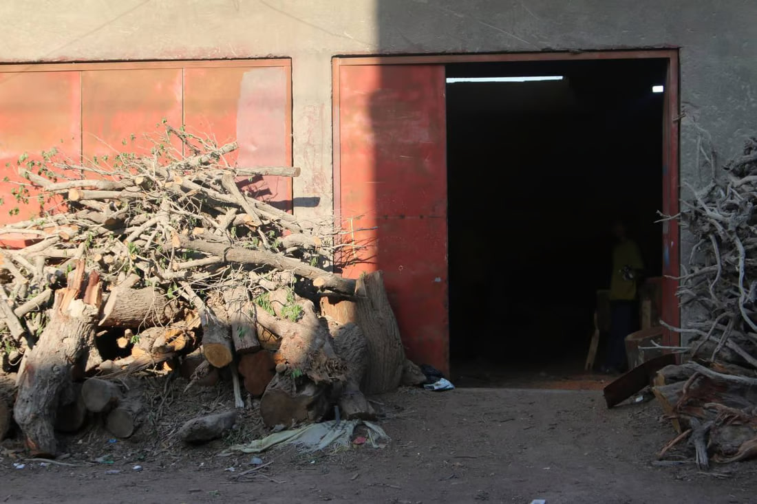 Firewood Market Flourishes in Karmat Ali Amid Winter Trips