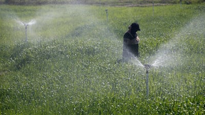 Iraqi farmers see hope with water-saving irrigation techniques amid drought threat