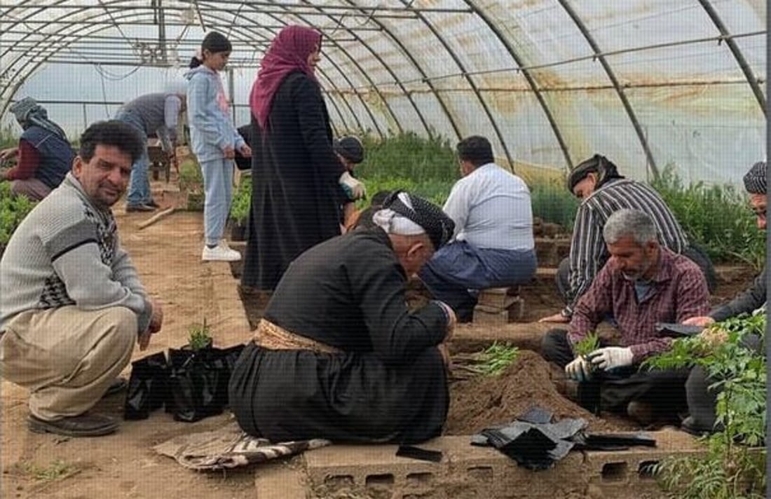 Sulaymaniyah gardens initiative aims to cultivate 500,000 saplings and