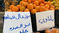 صور: البرتقال اليافاوي يملأ أسواق الأنبار.. ألذ من المس...