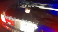 BMW تخطف طفلاً من أمام منزله في كركوك.. كمين الشرطة أطاح ب...