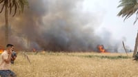صور: النيران تلتهم 5 دونمات من الحنطة بالمشخاب.. الأهالي...