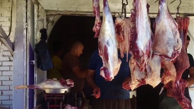 مندلي: الجفاف يرفع سعر اللحوم ثلاثة الاف دينار (فيديو)