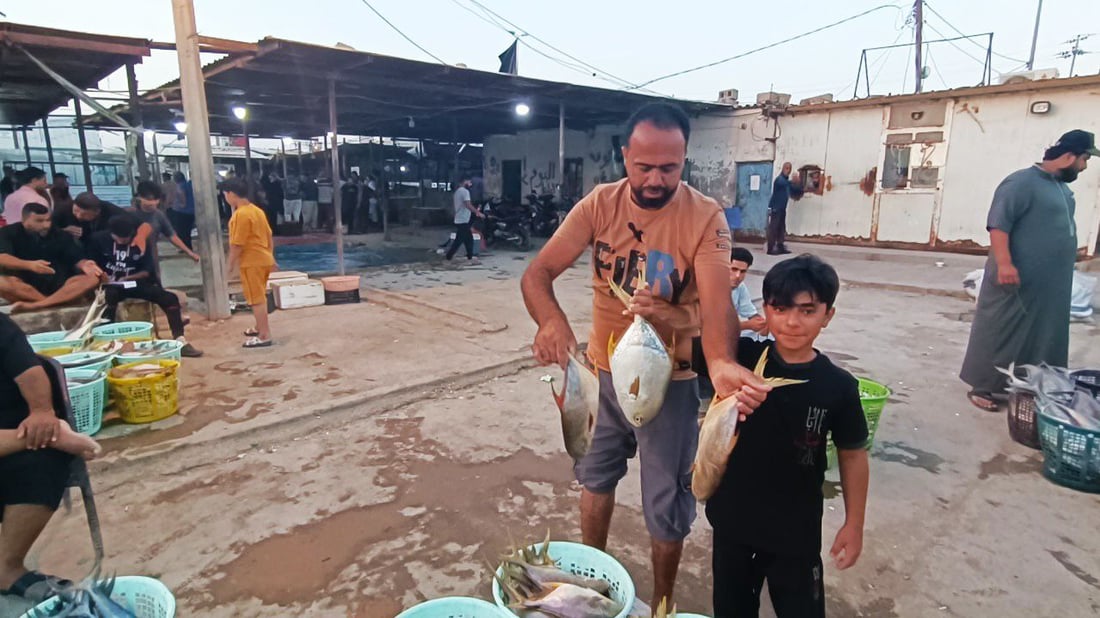 سلة الصبور بـ90 ألف دينار.. قائمة بأسعار السمك في مرسى النقعة لهذا اليوم