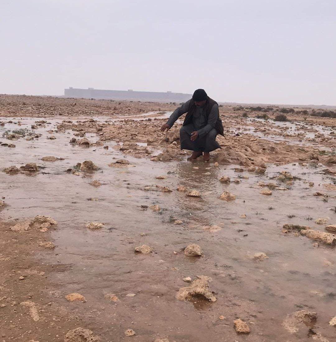 سيول تهدر من جهة السعودية والأمطار تستمر الجمعة.. الكمأ ظهر في السماوة (صور)
