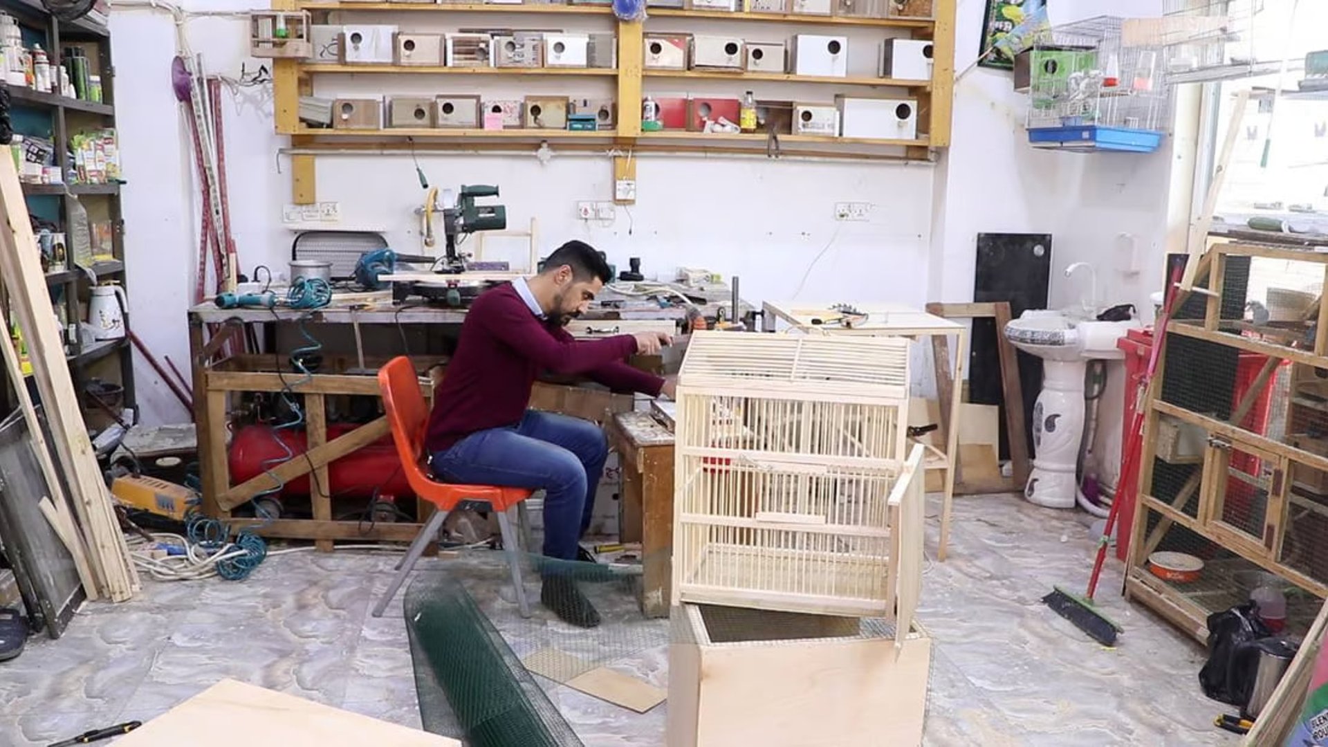 AlKut bird sellers innovate with bespoke bird cages