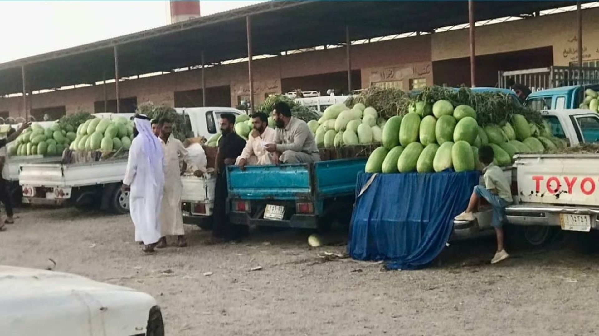 Agriculture in Abu Ghraib suffers after May rains, June heatwave