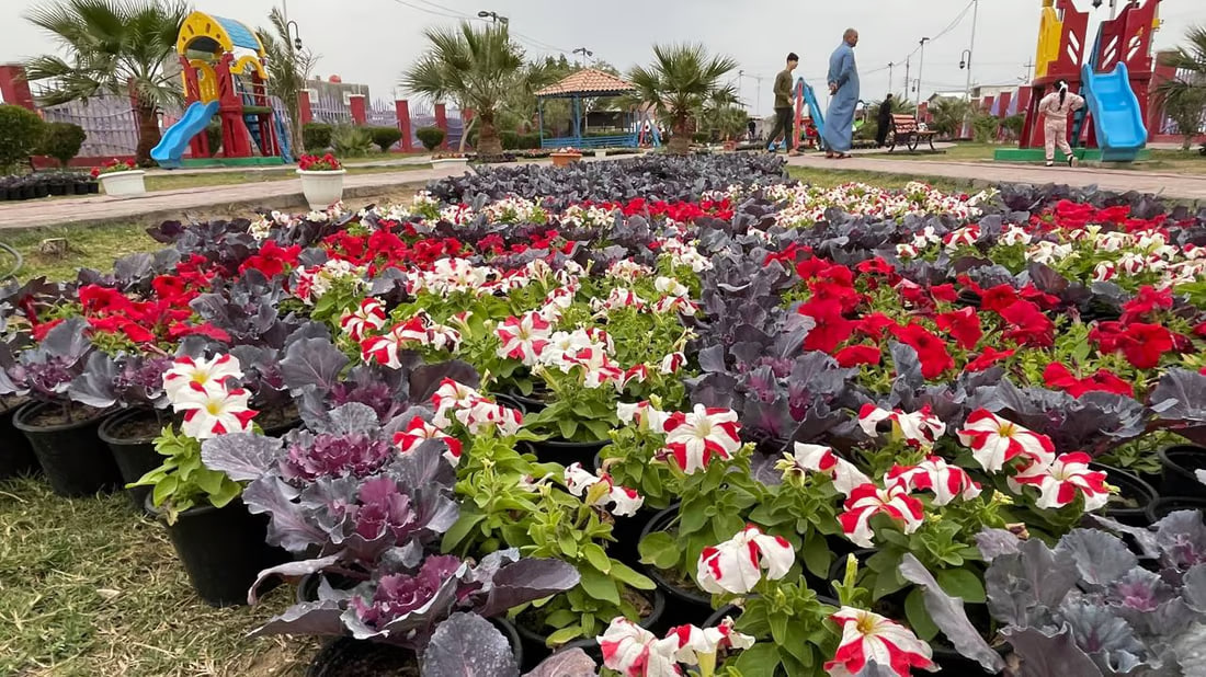 Basra’s city municipality hosts flower exhibition