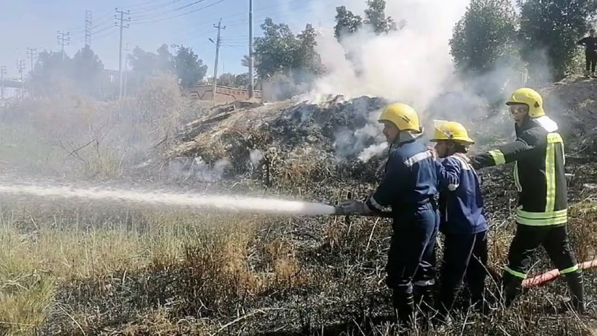 Basra palm grove fires extinguished  trees destroyed