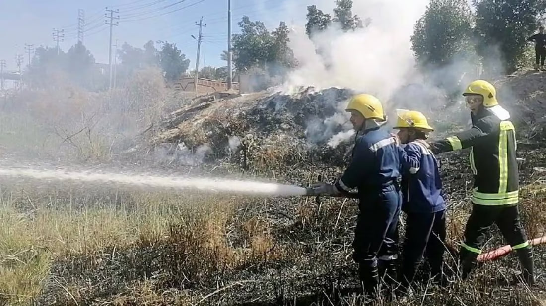 Basra palm grove fires extinguished, 20 trees destroyed