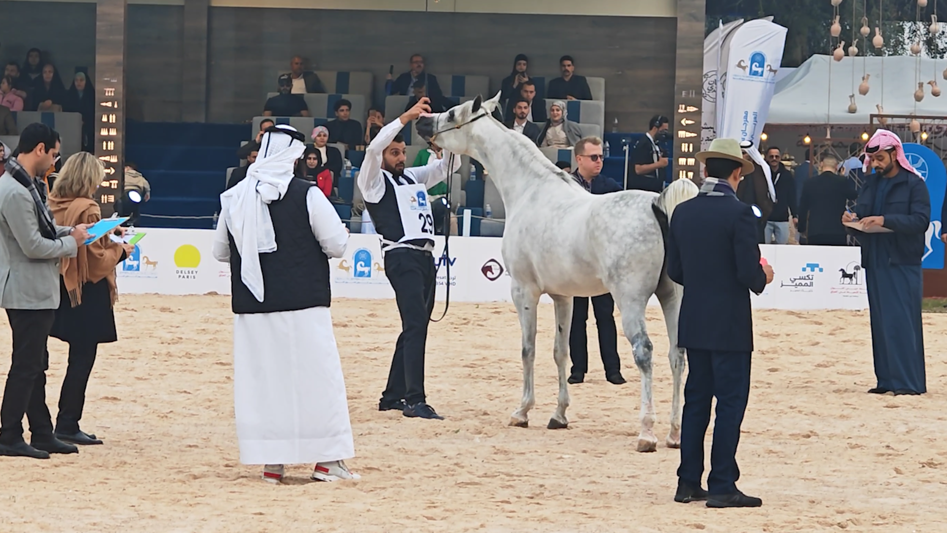 شاهد: بغداد تفحص جمال الخيول العربية في مهرجان واسع وإسطبلات أربيل شاركت بحماس