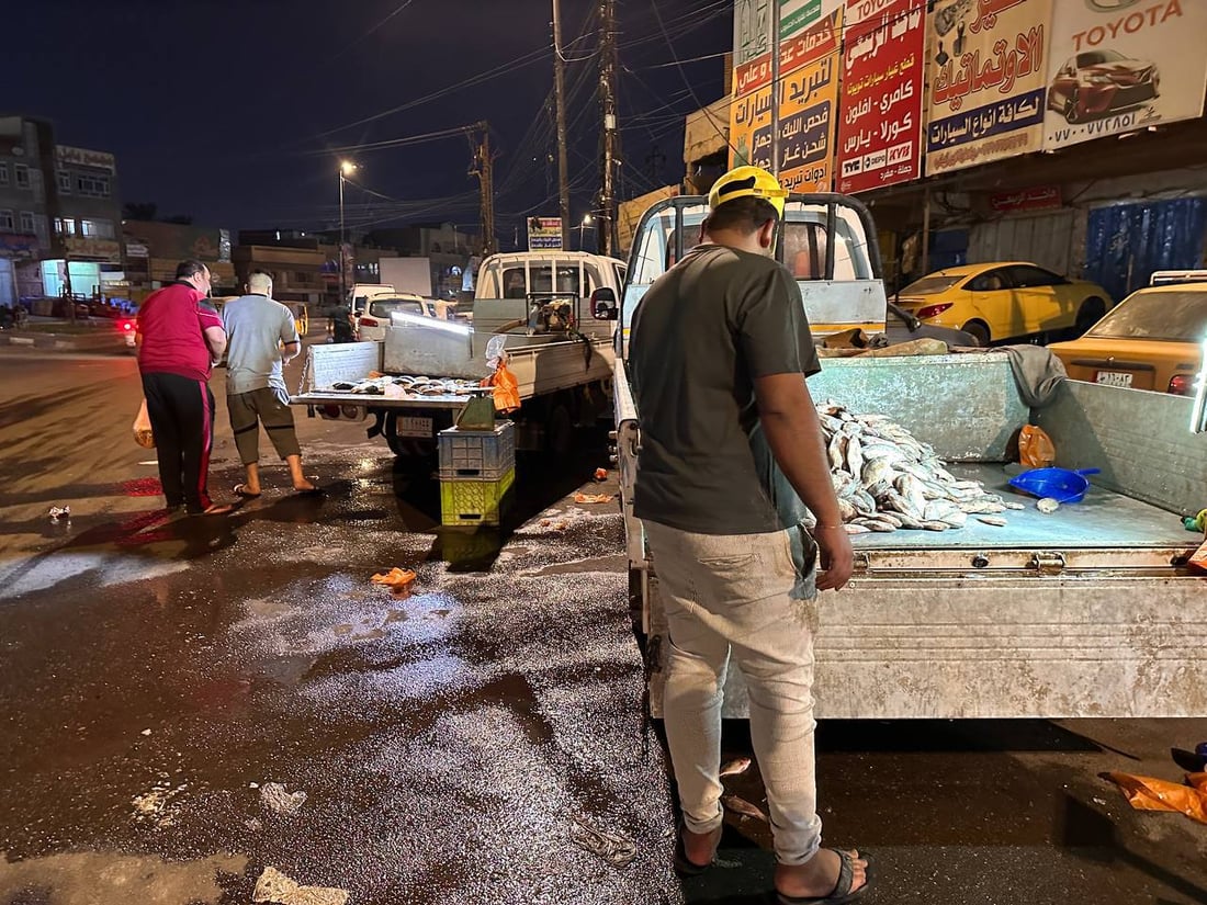 الجفاف يغيّر مسار تجارة الأسماك في مدينة الصدر.. صيد كركوك بديلاً للأهوار (صور)