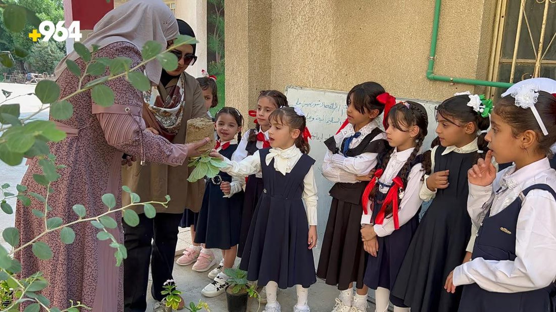 Safwan municipality plants  seedlings in schools for Green Cell project