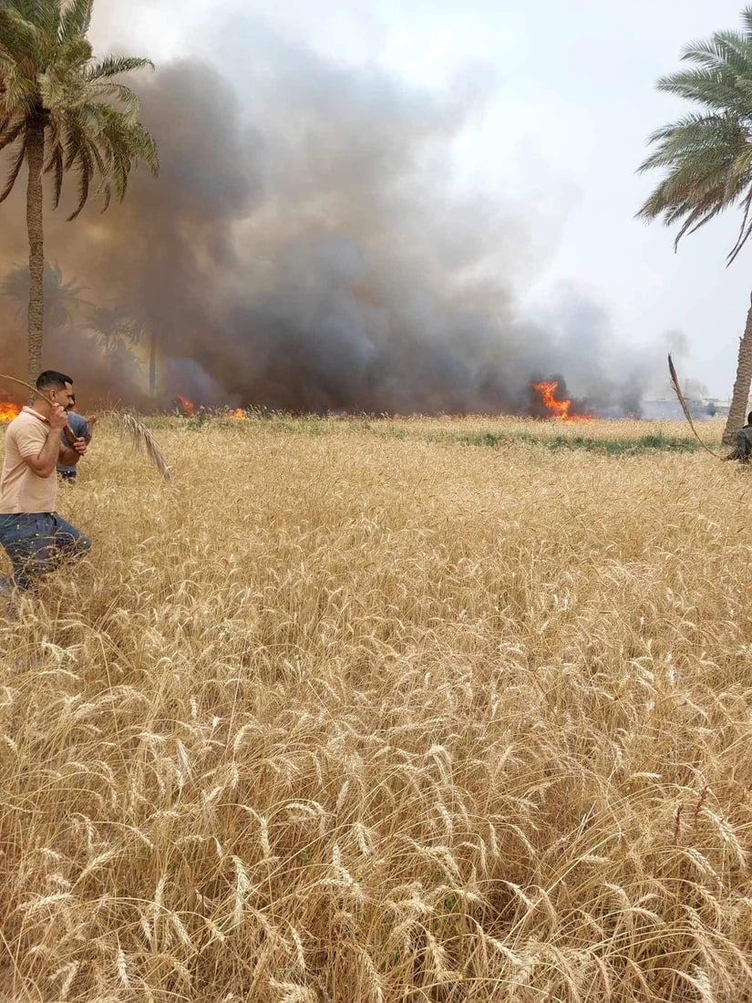 صور: النيران تلتهم 5 دونمات من الحنطة بالمشخاب.. الأهالي ساعدوا في إخمادها