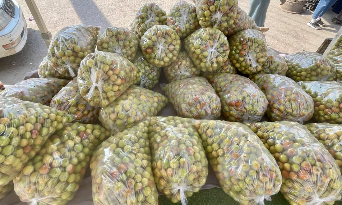 Basra’s nabq fruit draws traders as production booms and exports increase