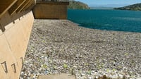 Cleanup operation at Darbandikhan dam concludes after removing 250 tons of waste
