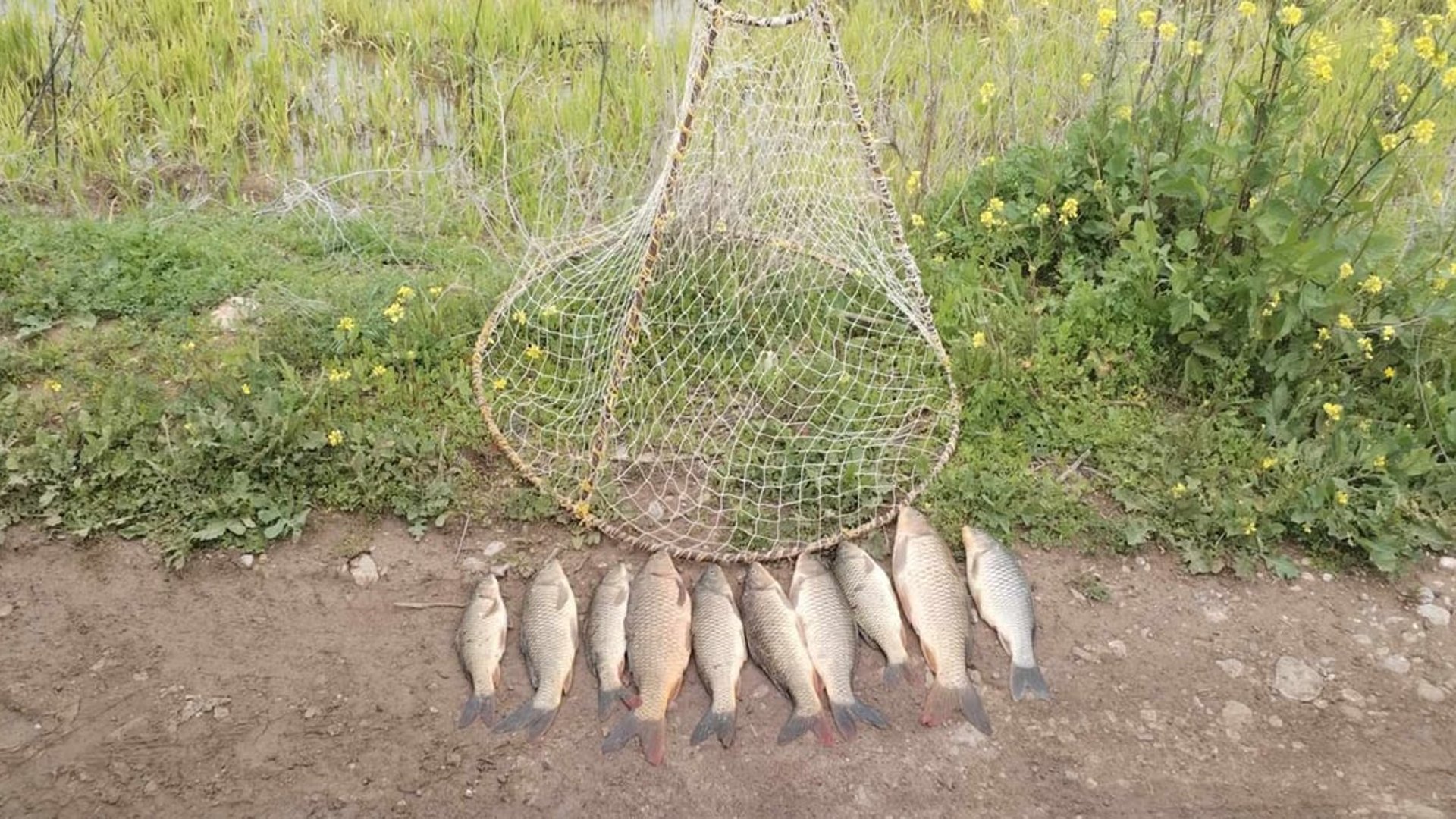 Sulaymaniyah environment police crack down on illegal fishing