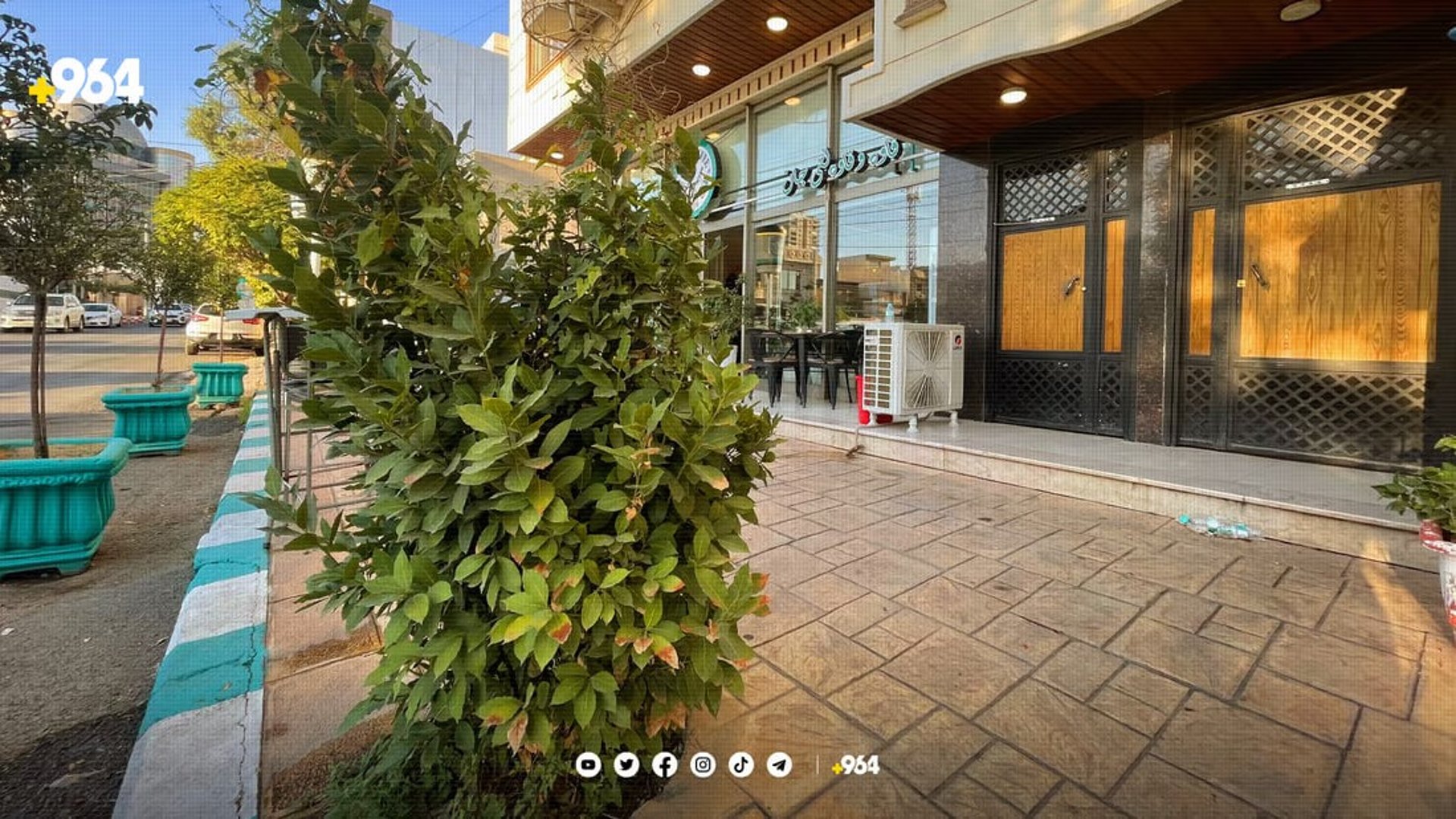 السليمانية تفرض زراعة "الناروند" والتوت الذهبي مقابل رخص المباني التجارية