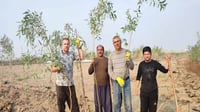 Group urges locals to plant trees to celebrate the New Year in Garmiyan