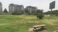 صور تهدئ الأعصاب: أشجار وثيل طبيعي لتزيين متنزهات البي?...