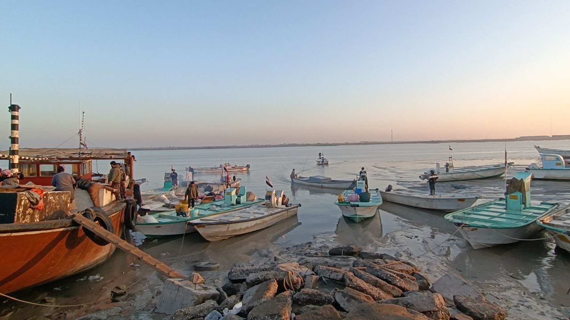 أول أيام صيد الداگوك مع النويبي.. أسعار السمك في مزاد الفاو (صور)