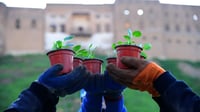 Erbil launches major flower planting campaign