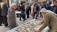 Jalawla fish market sees high demand for freshwater fish