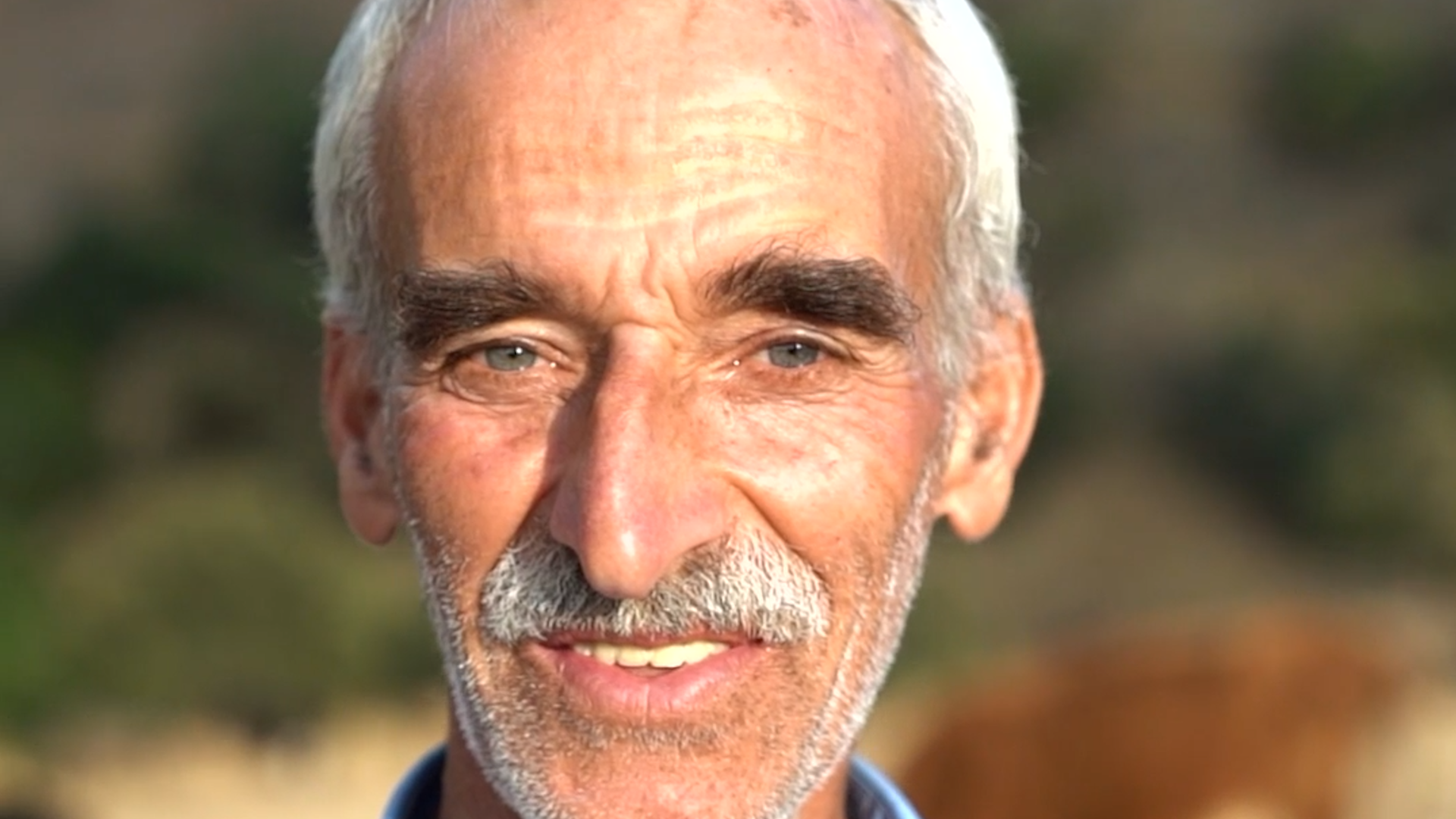 قرية عراقية كل سكانها عيونهم زرقاء.. كانوا يحافظون على جيناتهم من الغرباء (فيديو)