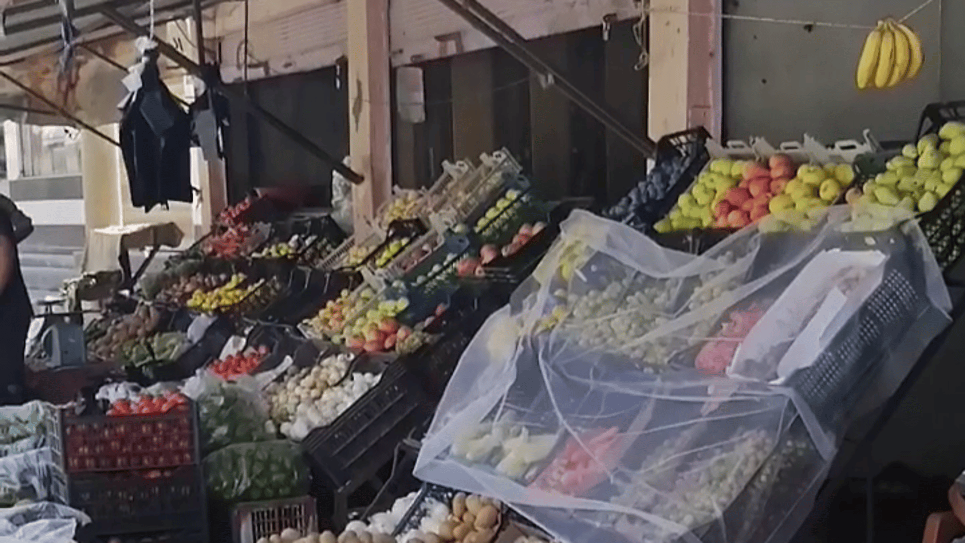 أهل ربيعة يأكلون ممّا يزرعون.. 964 تتجول في سوق عوينات (فيديو)