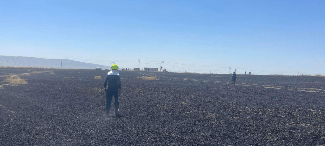 Devasting fires ravage wheat fields in Kurdistan region