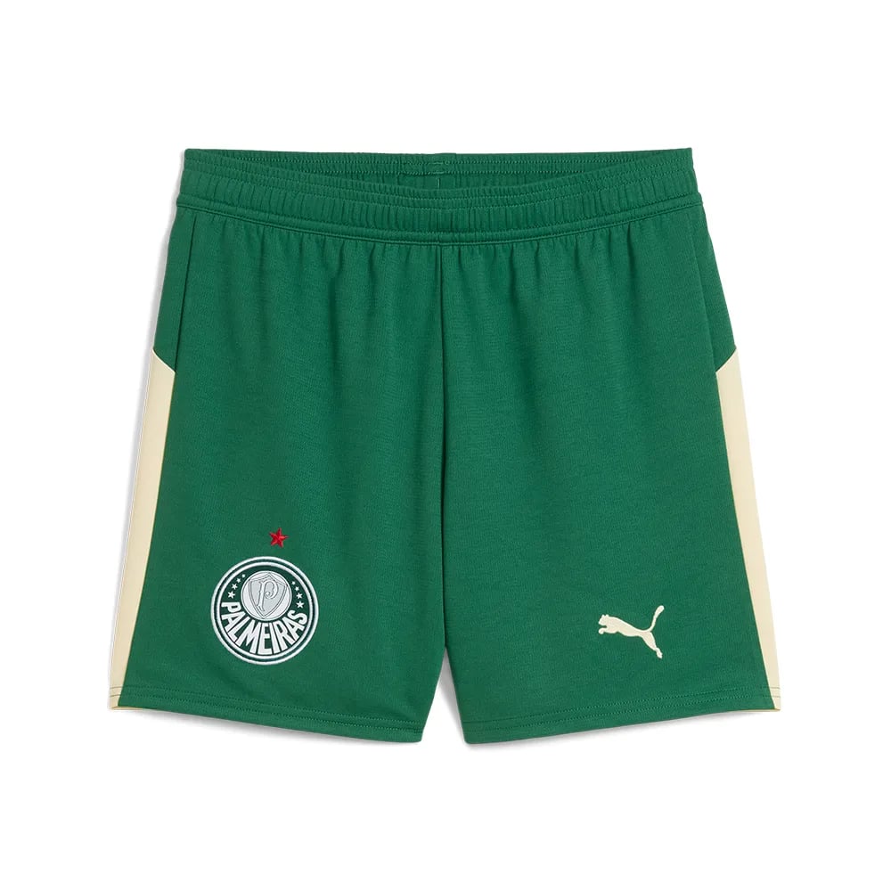 Herren Palmeiras 2025/26 KidSuper Shorts - Grün