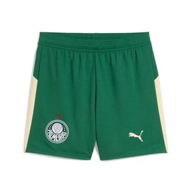 Herren Palmeiras 2025/26 KidSuper Shorts - Grün