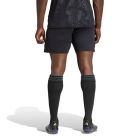 Herren Juventus 2025/26 Dritte Shorts
